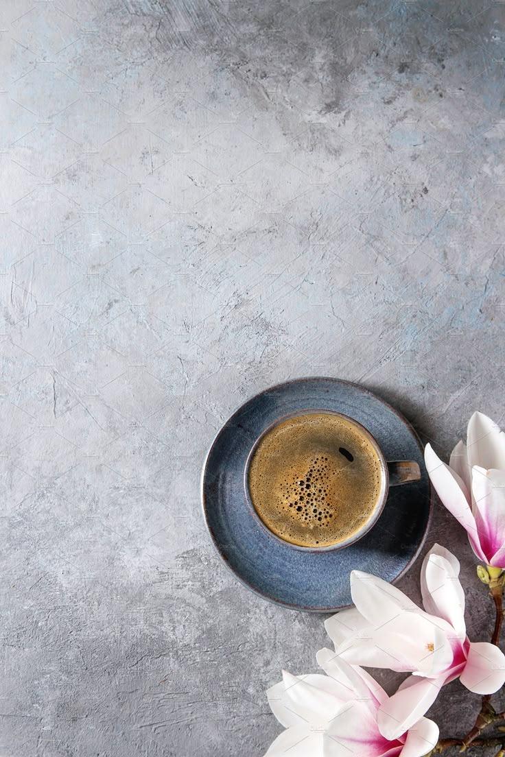 Velvet Whisper Gourmet Morning Selection
